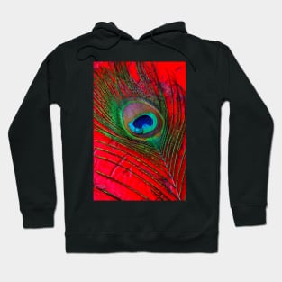 Dew Drop On Peacock Feather On red Table Hoodie